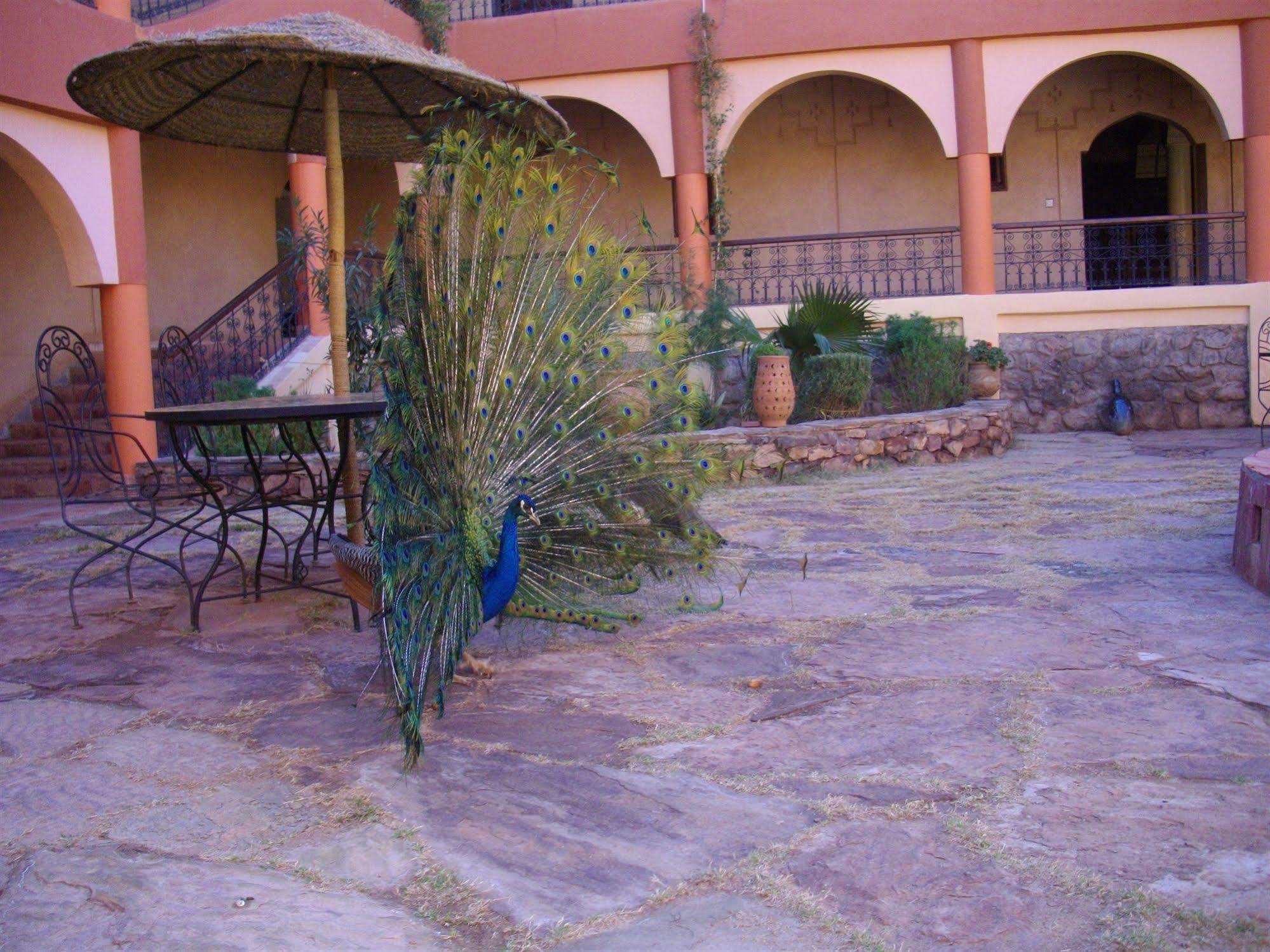 Kasbah Zitoune Tajda Esterno foto